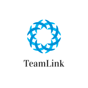 TeamLink TM