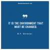 Skinner Environment that must be changed